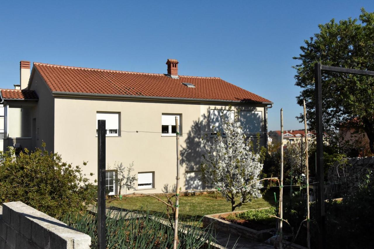 Simba 2 Apartma